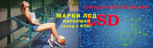 MDMA Premium VHQ Тайга