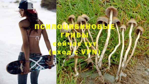 соль курить ск Сясьстрой