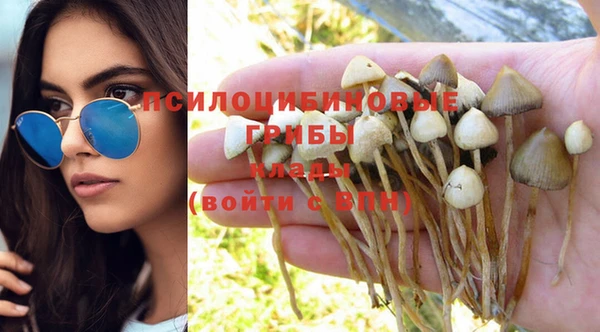 соль курить ск Сясьстрой
