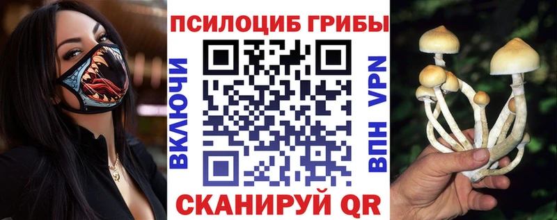 Псилоцибиновые грибы Psilocybine cubensis  Шуя 