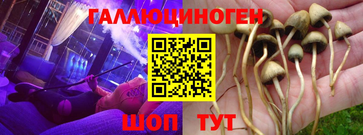 Псилоцибиновые грибы GOLDEN TEACHER  Псилоцибиновые грибы мицелий  Шуя  цена   Вход с VPN 